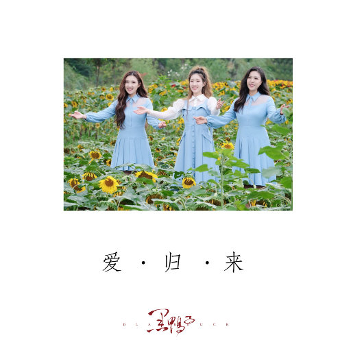 男同吃大鸡巴的网站
